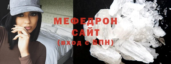 дживик Ельня