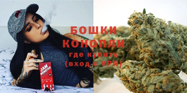 стафф Аркадак