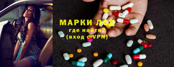 сатива Елабуга