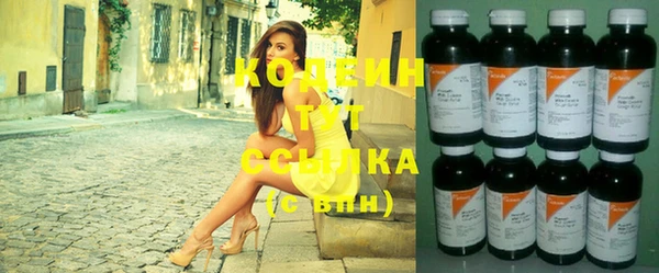 дживик Ельня
