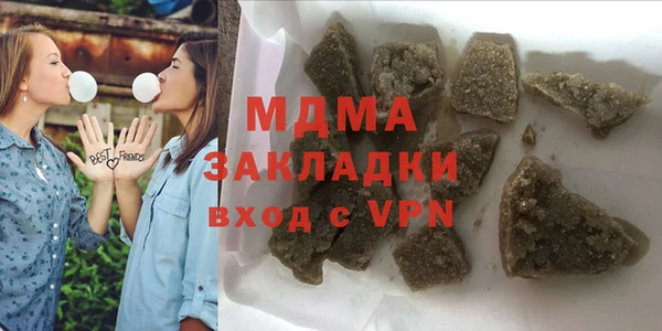 дживик Ельня