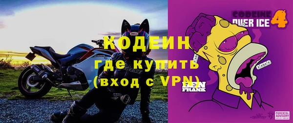 дживик Ельня